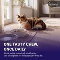 Vetoquinol Flexadin - Joint Support for Cats of Any Size - Healthy Hip & Mobility Support for Comfortable Movement - Tasty Daily Chew with Beef Flavor - 30 Count Bag