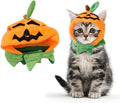 ALIBBON Cat & Dog Halloween Costume - Pumpkin Headdress & Cap Set for Puppy & Kitty Cosplay