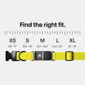Fi Series 3+ GPS Dog Collar & Tracker, Membership Required, Gray L