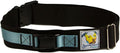 Squishy Face Studio Hands Free Dog Leash Belt