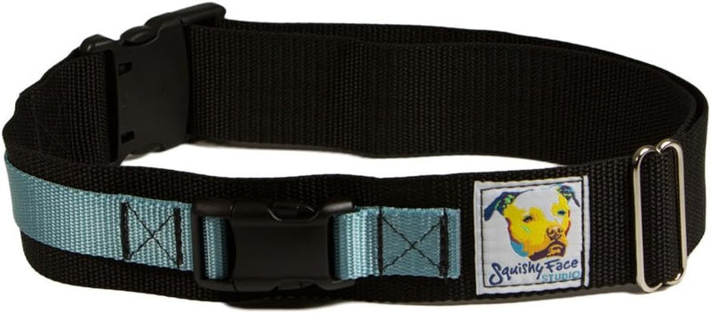 Squishy Face Studio Hands Free Dog Leash Belt