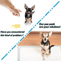 Rabbit Pee Pads Bunny Toilet/Potty Training Pad Super Absorbent Cage Liner