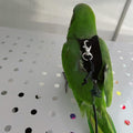 Bird Flight Harness Vest, Parrot Flight Suit with Leash for Parakeets Cockatiels Conures Budgies, Bird Flying Clothes wi