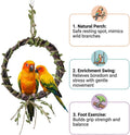 2-Pack Bird Woven Vine Swing Toys, Parrot Standing Climbing Perch,Bird Cage Toys for Budgerigar, Parakeet, Conure, Cockatiel, Mynah, Love Birds, Finches and Other Small to Medium Birds