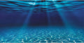 AWERT 48x24 in Undersea Aquarium Backdrop Underwater Fish Tank Background