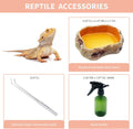 Reptile Growth Mini Reptile Terrarium,12" x 7"x 9" Reptile Tank with Full View Visually Appealing，for Insect，Fish，Tarant