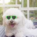 VioraWhite 6 Pcs Pet Heart Sunglasses Summer Cute Pet Dog Sunglasses Retro Small Cat Glasses Photos Props Dolls Glasses 
