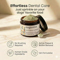 Dogbiotics DE-01 Dental Powder for Dogs – Human-Grade Oral Postbiotic, Helps Fight Plaque & Tartar, Supports Gum Health & Fresh Breath – 60 Scoops (2 oz / 60g)