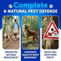 Flea and Tick Support for Dogs - 120 Chews - Dog Flea Chewables