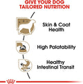 Royal Canin Breed Health Nutrition Chihuahua Adult Loaf in Sauce Dog Food, 3 oz (Pack of 6)