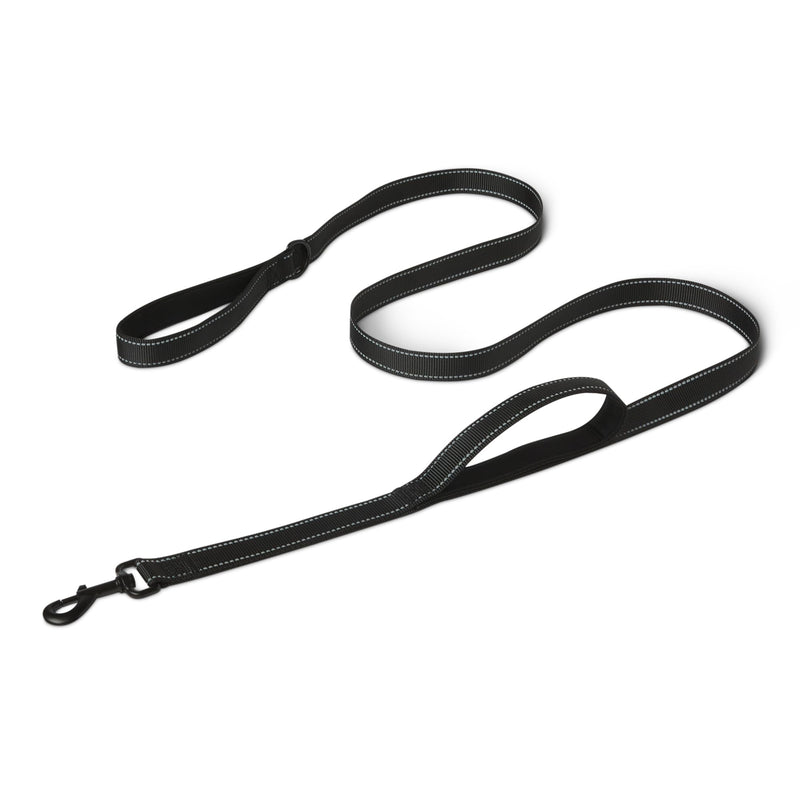 Amazon Basics Dog Leash, 6ft with 2 Comfortable Dual Padded Handles for Traffic Control, Highly Reflective Leashes for Large & Medium Dogs, Night Safety, Easy Snap Hook, Black