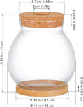 POPETPOP Desktop Glass Fish Bowl - Round Small Fish Tank