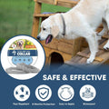 Flea Collar for Dogs, Flea and Tick Collar for Large Dogs, Comfort Fit for Sturdy Dog Flea Collar, Adjustable Tick Dog C