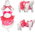 CuteBone One Piece Dog Bikini Swimsuit Dress - Puppy Bathing Suit Costume for Small Dogs - Comfortable & Stylish Pet Clothes for Summer Pool, Beach & Play LTDB01S