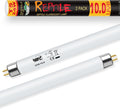 LUCKY HERP T5 UVB Reptile Light 2 Pack, 24W UVB 10.0 Reptile Light Bulb, UVA UVB Fluorescent Lamp Tube, UVB Lamp for Liz