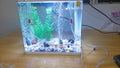 Aquarium Air Pump Accessories - Contains Airline Tubing, Control Valve, Air Stones, Connectors, Check Valves, Suction Cu