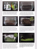 Aquarium G-r-a-s-s P-l-a-n-t - 3 Pack | Easy-Growing Water P-l-a-n-t for Fish Tank Aquarium