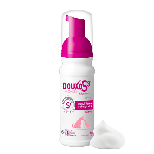 Douxo S3 Calm Itch Soothing Mousse for Dogs & Cats – Soothing Dog Skin Allergy and Itch Relief for Dogs, Helps Support Itchy, Irritated or Allergic Skin, 5 fl oz