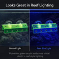 kcrygogo Fluorescent Green Coral Frag Holder Acrylic Coral Rack with Powerful Double Suction Cup Suitable for Household 