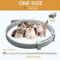 Flea and Tick Collar for Cats &Kitten, Natural Essential Oil Flea and Tick Prevention for Cats, 15 Inch, 8 Month Protect