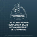 Nutramax Dasuquin Joint Health Supplement for Large Senior Dogs – for Immune Support, Skin & Coat Health, and Brain Health, 84 Soft Chews