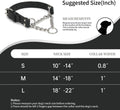 Martingale Collar for Dogs No-Pull Adjustable Training Collar with Stainless Steel Chain - Genuine Leather Anti-Slip Des