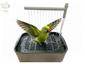 Tonodui Automatic Parakeet Bird Bath with Pump,Adjustable Water Flow & Parrot Shower,USB Powered Bird Fountain Bathtub for Cage,Quiet Circulating Water System for Budgie,Lovebird (S)