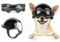 LESYPET Dog Helmet and Goggles for Extra Small Breed, Puppy Motorcycle Helmet with Ear Holes, UV Protection Extra Small 