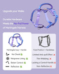 DF Freedom No Pull Martingale Dog Harness, Gentle Control for No Choking, Front Clip Harness with Reflective, Adjustable