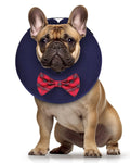 MIDOG Dog Cone Collar for Large Medium Dogs, Soft Inflatable Dog Cone Alternative After Surgery, Adjustable Protective Recovery Cone - Alternative E Collar Does Not Block Vision (Bow Tie,M+)
