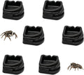 6 Pcs Spider Micro Water Bowls, Mini Resin Dish for Tarantula, Spider, Millipede and Tiny Reptiles, Food/Water Dish for 