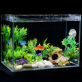 SLSON Fishes Veggie Seaweed Plant Suction Cup Clip Feeding Tool Feed Holder Aquarium Accessories for Fish Tank Fish Feed