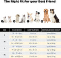 Miguel Dog Bed with Removable Cushion/Pillow for Medium Small Dogs, Washable Pet Bed with Side Easy to Wash Puppy Bed, L