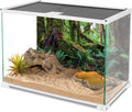 36x18 in Terrarium Backdrop Rainforest Moss Tree Reptile Habitat Background