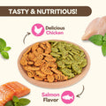 Puddonio Catnip Cat Treats, Chicken & Salmon Flavor Crunchy Cat Biscuits, Fish-Shaped Training Snacks for Adult Cats, 16 oz