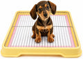 Dog Litter Box, Indoor Puppy Potty Tray with Stainless Steel Grate
