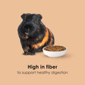 Kaytee Timothy Complete Guinea Pig Food with Timothy Hay, 9.5 Pounds