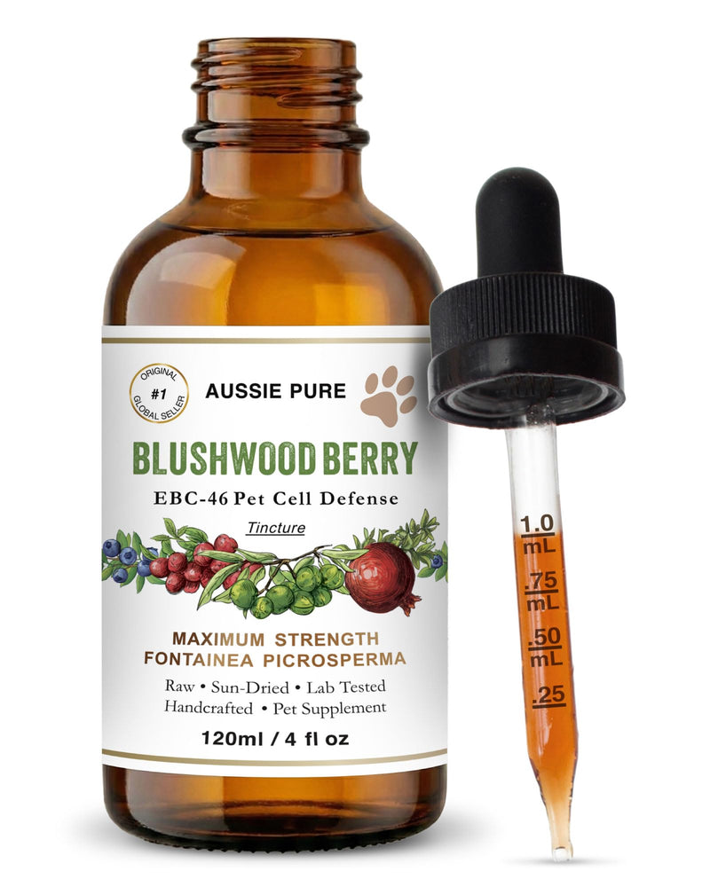 Aussie Pure Pet Therapy Blushwood Berry EBC-46 Tincture - 120ML - Maximum Strength - Lab Tested and Certified - Gentle, Oral and Topical Alcohol-Free Formula - Immune and Cell Support