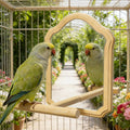 Bird Mirror with Wooden Perch, 15cm Parakeet Toys for Cage