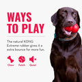 KONG Extreme Ball with Hole - Fetch Toy - Durable Dog Toy for Training, Interactive Playtime & More - Natural Extreme Rubber Ball - Black - for Large/Medium Dogs