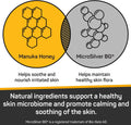 Silver Honey Nourish & Soothe Grooming Combo Pack, 16 fl oz each of Odor Neutralizer Shampoo + Leave-In Conditioner, Dog & Cat Skin & Coat Care, Natural Manuka Honey + MicroSilver BG, Pump Bottles