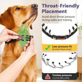 Crazy Felix No Pull Dog Collar, Heavy-Duty Metal Martingale Hidden Collar