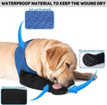 COODEO Dog Socks to Prevent Licking Paws, Healing Boots & Paw Protectors with Non-Slip Bottoms for Wound Protection, Wat