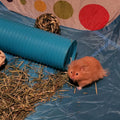 Plastic Hamster Fun Tunnels,Ferrets Foldable Exercising Training Tunnels Hamsters Hideout Tube 15 Pcs Small Animal Chew 