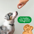 Buddy Biscuits Trainers Soft & Chewy Dog Treats, Chicken, 10 oz, 500 Treats