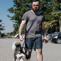 Roses&Poetry Hands Free Dog Leash for Medium Large Dogs Heavy Duty, No Pull Bungee Dog Running Waist Leash for Walking T
