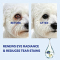 Wellix PET Dog Eye Drops, Eye Drops for Dogs&Cats, Dog Eye Infection Treatment to Soothe Eye Allergy, Soothe Dry Eyes Pink Eyes, Dog Tear Stain Cleaner-60ml