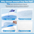 iweepet Enormous 37"x 54" Dog Training Potty Pads, Super Absorbent & Leak-Proof 6 Layers Puppy Pads 30 Counts, Disposable Dog Pee Pads Extra Large for Puppy, Surgery, Older, Cats, Rabbits