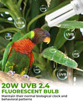 GlowUp UVB 2.4 Bird Cage Light Combo Kit, 20W UVB Bird Light Bulb, Deep U-Shaped Lamp Fixture with Compact Fluorescent Bulb E26 for Captive Birds, Reptiles