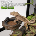 Magnetic Gecko Feeding Ledge, Reptile Food Dish with 3PCS Feeding Cups Crested Gecko Feeder Ledge Water Bowl for Lizard 